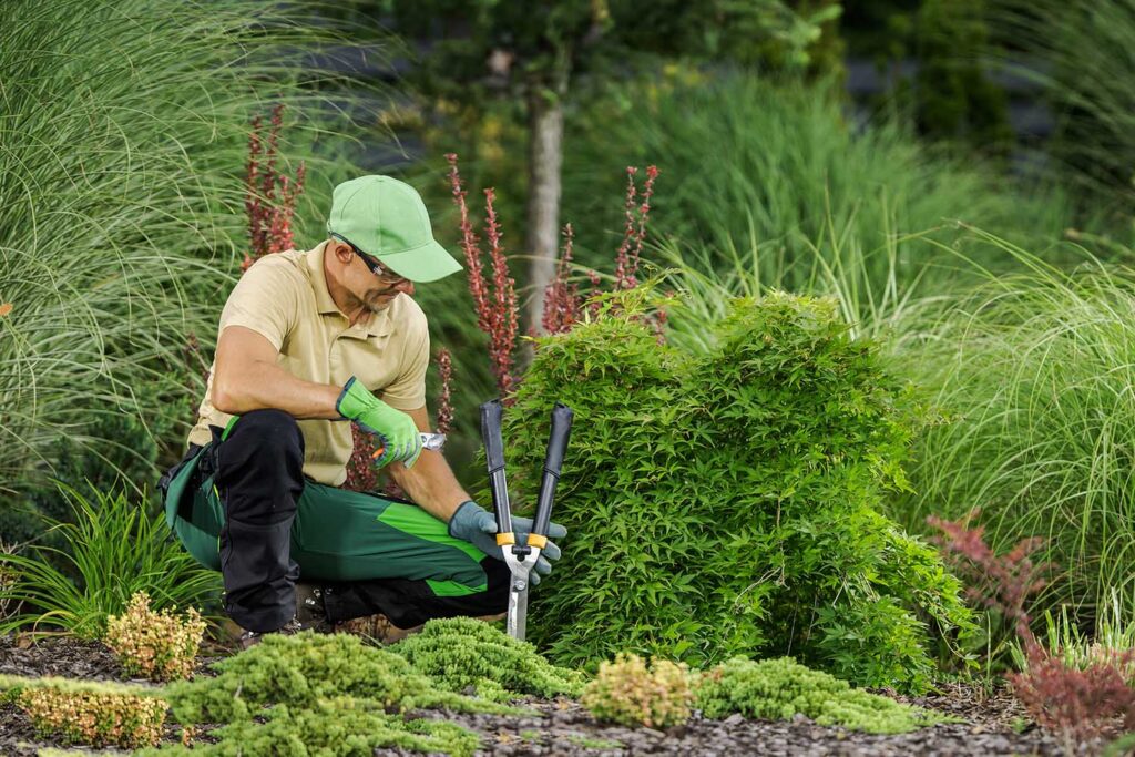 Servicios de Jardinería​